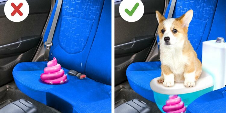 1670517523_maxresdefault-1401125-2266384-jpg