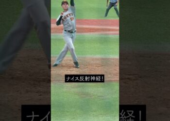 1671078708_maxresdefault-9174382-8477993-jpg