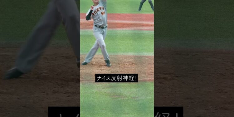 1671078708_maxresdefault-9174382-8477993-jpg
