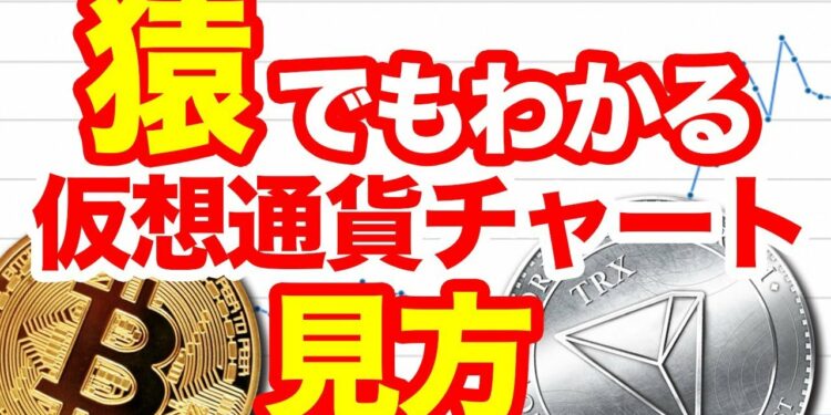 1671162549_maxresdefault-2626251-4377577-jpg