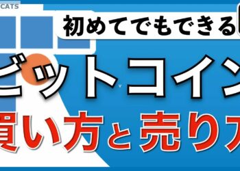 1671220254_maxresdefault-1964492-6958229-jpg