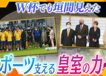 1671223009_maxresdefault-6129695-3260465-jpg