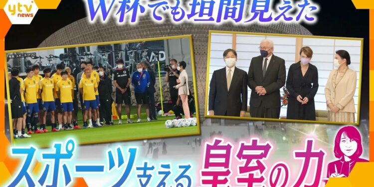 1671223009_maxresdefault-6129695-3260465-jpg