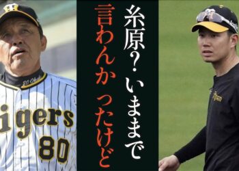 1671251851_maxresdefault-2494897-5280672-jpg