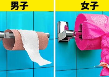 1671329324_maxresdefault-5453798-8919195-jpg