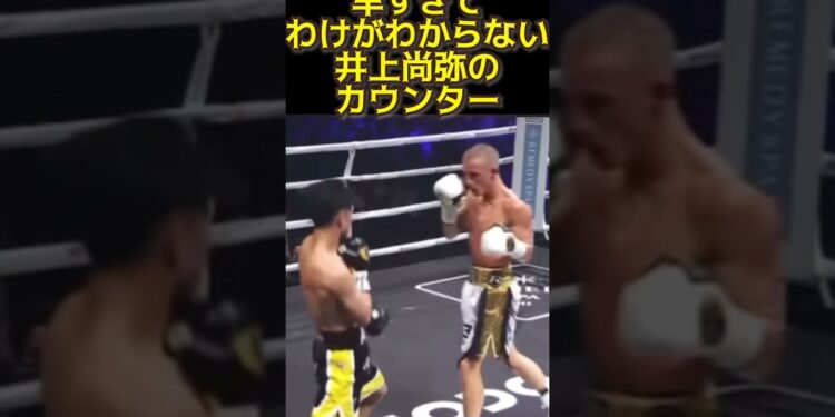 1671482832_maxresdefault-7170370-9942784-jpg