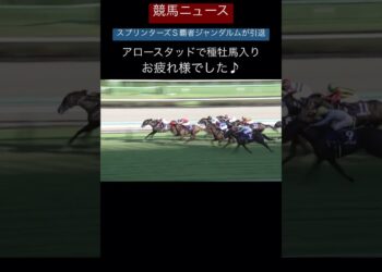 1671627076_maxresdefault-4867230-9907813-jpg