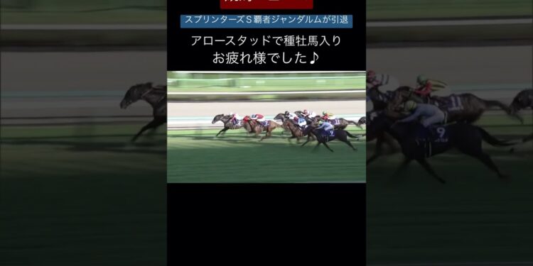 1671627076_maxresdefault-4867230-9907813-jpg