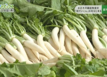 1671800252_maxresdefault-3758014-5332639-jpg