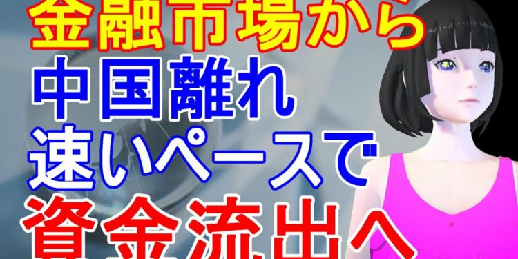 1671917692_maxresdefault-8991205-4717132-jpg