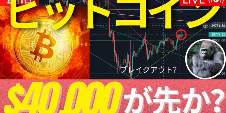 1672259317_maxresdefault-4252349-5849168-jpg