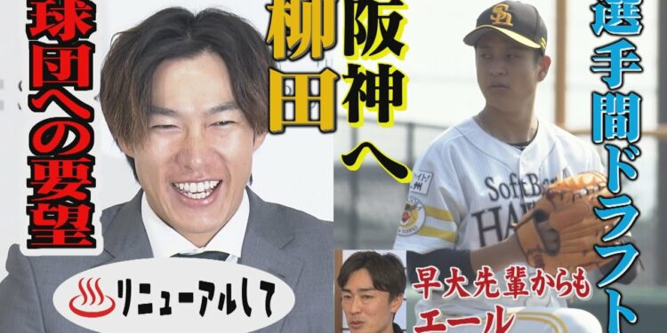 1672435239_maxresdefault-6604960-8940995-jpg