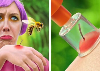 1672887362_maxresdefault-5544436-9885949-jpg