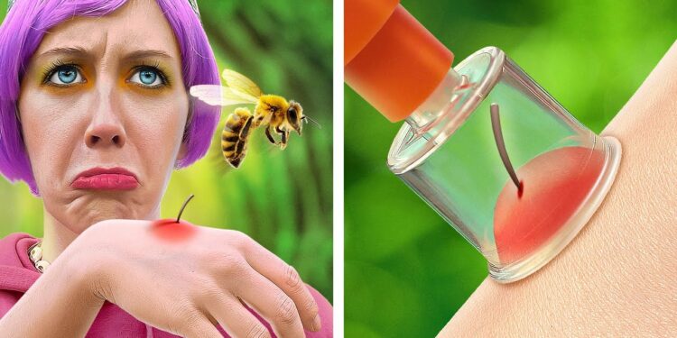 1672887362_maxresdefault-5544436-9885949-jpg