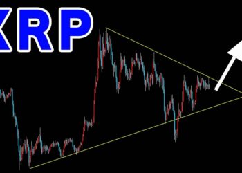 1673500445_maxresdefault-7489631-5855434-jpg