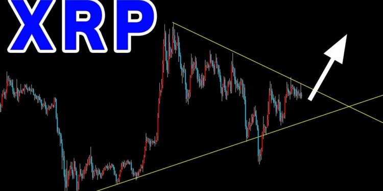 1673500445_maxresdefault-7489631-5855434-jpg