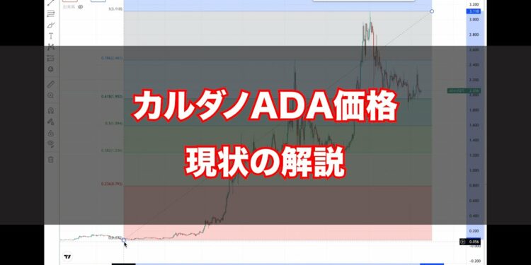 1673529309_maxresdefault-8923639-9346646-jpg