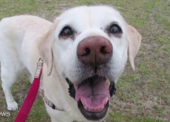 1673965200_maxresdefault-1925961-1137434-jpg