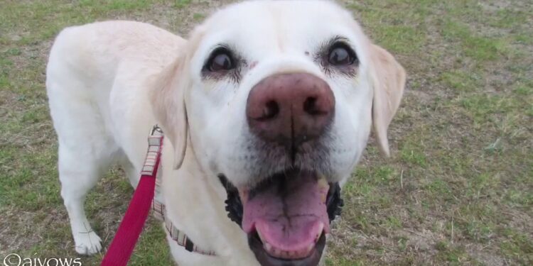 1673965200_maxresdefault-1925961-1137434-jpg