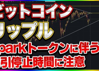 1675289948_maxresdefault-3061922-1624965-jpg