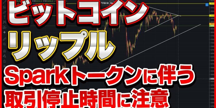 1675289948_maxresdefault-3061922-1624965-jpg