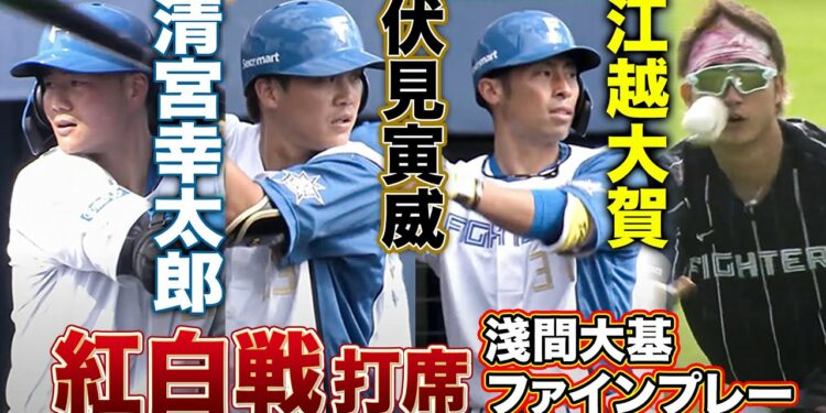 1675581535_maxresdefault-5985406-5268631-jpg