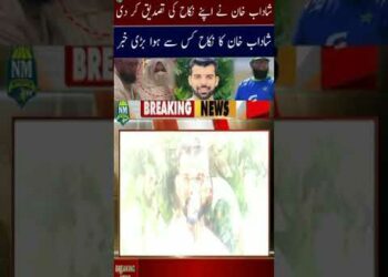 1675841278_hqdefault-3353305-6396732-jpg