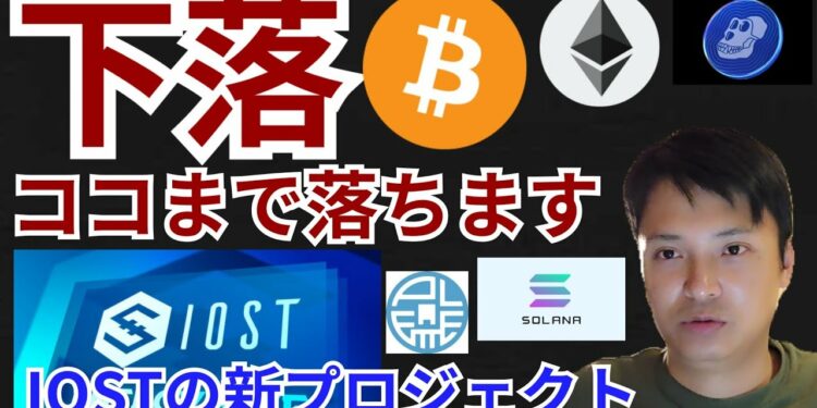 1675867344_maxresdefault-1901796-2940900-jpg