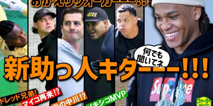 1675927890_maxresdefault-2287876-7324109-jpg