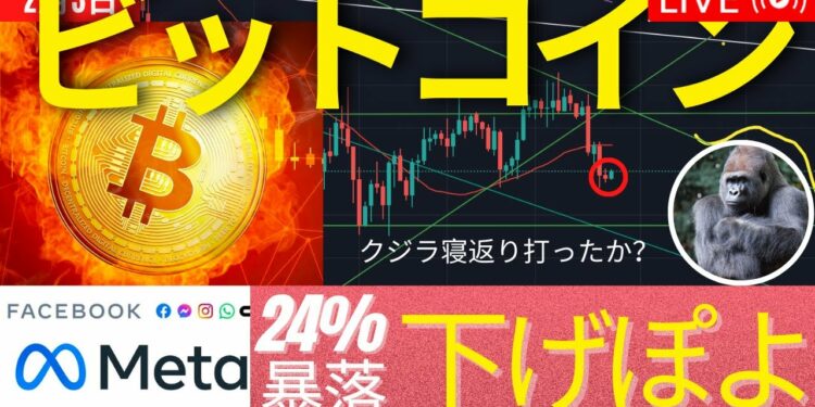 1676155988_maxresdefault-3425139-4055113-jpg