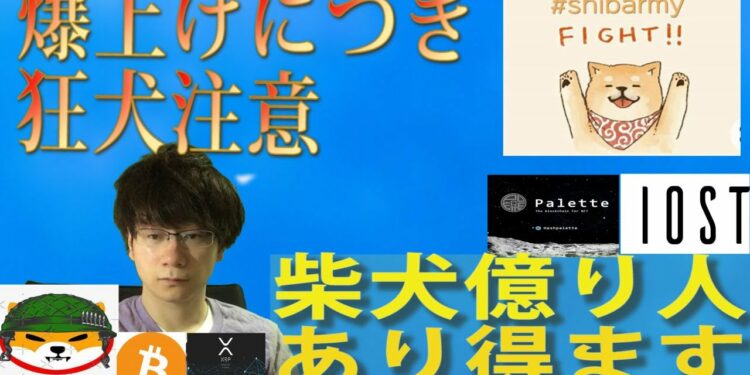 1676213726_maxresdefault-4570013-6069635-jpg