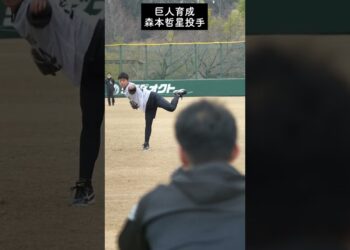 1676245444_maxresdefault-3169518-7470037-jpg