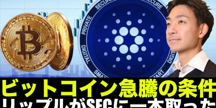 1676271439_maxresdefault-7475441-8608995-jpg