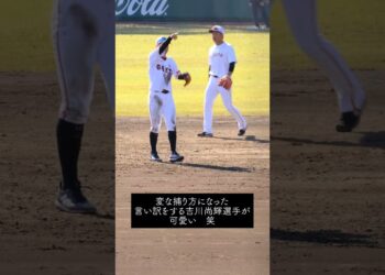 1676274305_maxresdefault-5537234-3664277-jpg