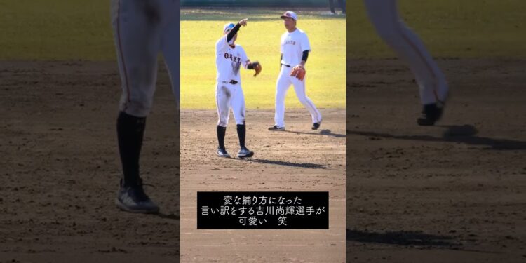 1676274305_maxresdefault-5537234-3664277-jpg