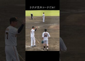 1676418603_maxresdefault-9017604-1739388-jpg