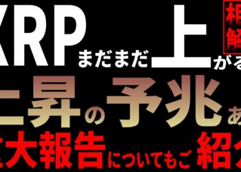 1676502305_maxresdefault-4002972-3350202-jpg