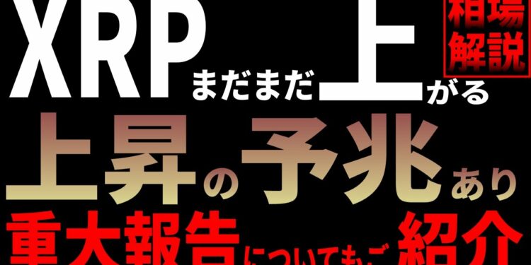 1676502305_maxresdefault-4002972-3350202-jpg