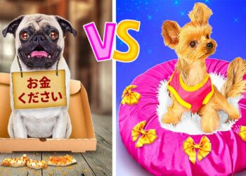 1676588290_maxresdefault-2933247-3350690-jpg