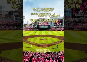 1676591756_maxresdefault-8957197-9547511-jpg