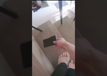 1676685734_maxresdefault-3611841-6001471-jpg