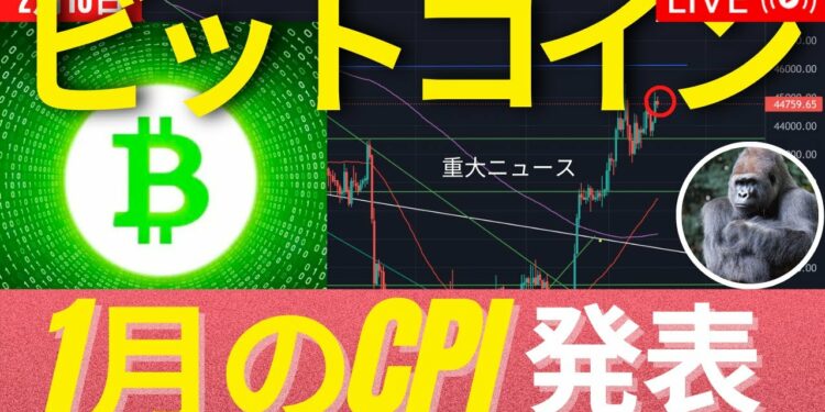 1676733250_maxresdefault-1361617-4803160-jpg