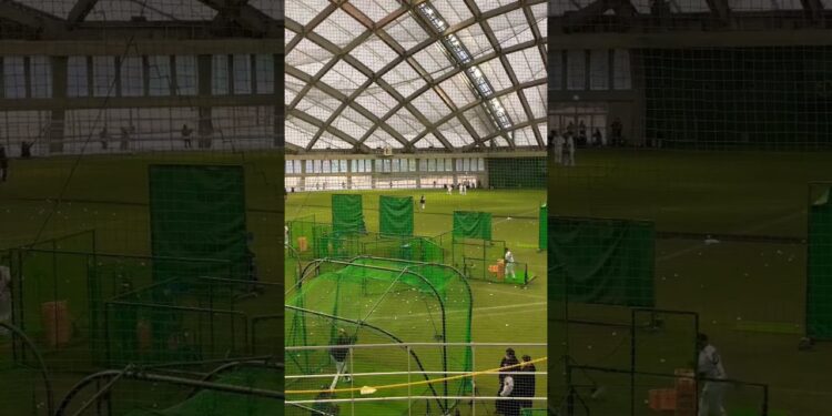 1676736119_maxresdefault-6832978-7479271-jpg