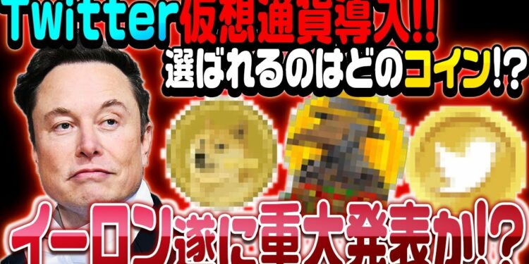 1677066255_maxresdefault-9987994-1946538-jpg