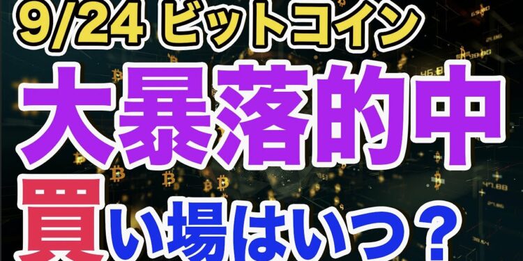 1677108477_maxresdefault-5637328-3948635-jpg