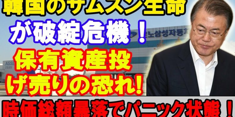 1677196015_maxresdefault-8110998-9543337-jpg