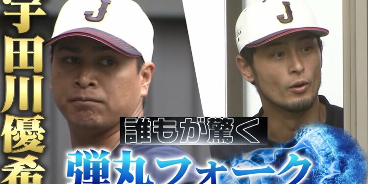 1677313385_maxresdefault-8541815-5060965-jpg