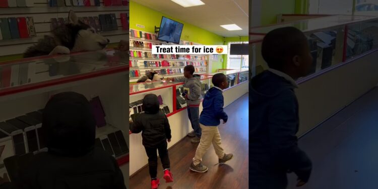 1679217811_maxresdefault-7947445-5621476-jpg