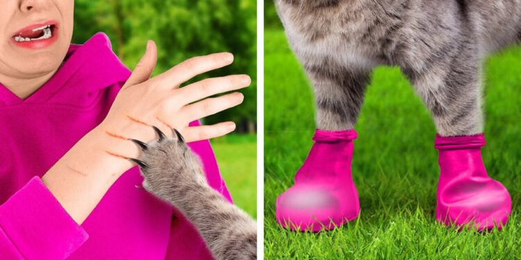 1679477486_maxresdefault-6023928-4044145-jpg