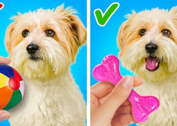 1679542411_maxresdefault-6199564-3894103-jpg